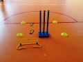 Cricket_1
