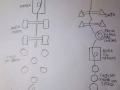percorsi_classi_prime-19